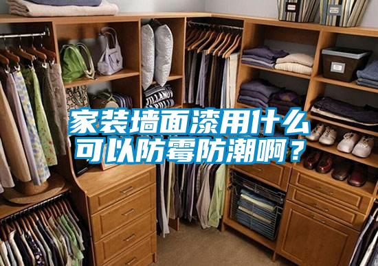 家裝墻面漆用什么可以防霉防潮??？