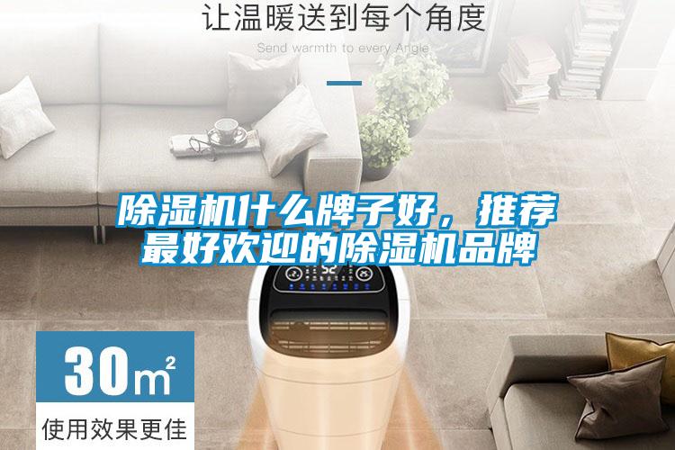 除濕機什么牌子好，推薦最好歡迎的除濕機品牌