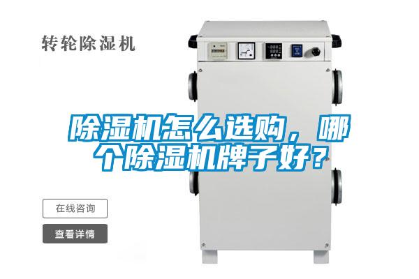 除濕機(jī)怎么選購(gòu)，哪個(gè)除濕機(jī)牌子好？