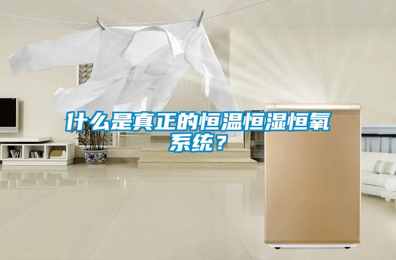 什么是真正的恒溫恒濕恒氧系統(tǒng)？