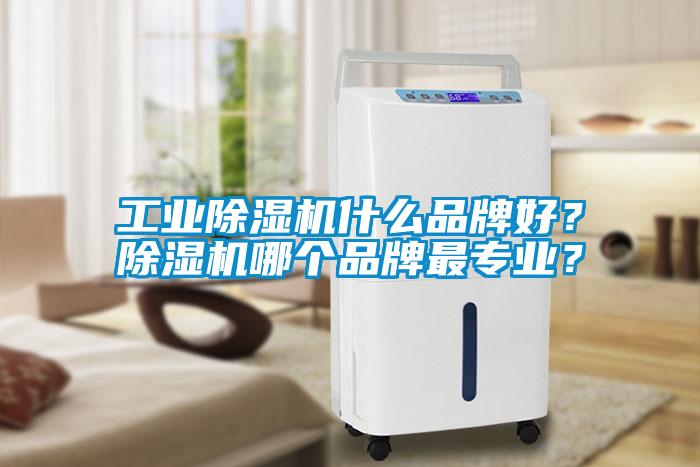 工業(yè)除濕機什么品牌好？除濕機哪個品牌最專業(yè)？