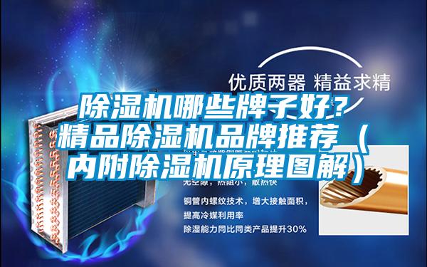 除濕機(jī)哪些牌子好？精品除濕機(jī)品牌推薦（內(nèi)附除濕機(jī)原理圖解）