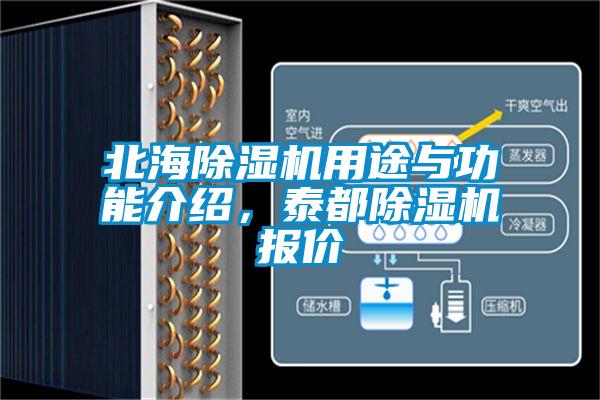 北海除濕機用途與功能介紹，泰都除濕機報價