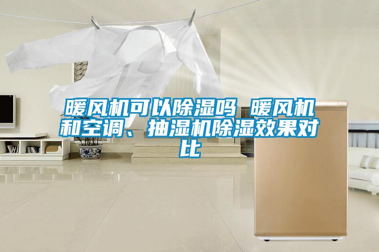 暖風(fēng)機(jī)可以除濕嗎 暖風(fēng)機(jī)和空調(diào)、抽濕機(jī)除濕效果對比