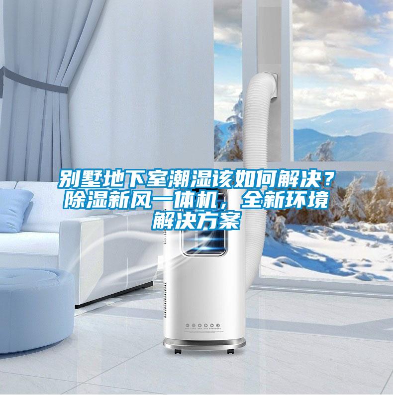 別墅地下室潮濕該如何解決？除濕新風(fēng)一體機(jī)，全新環(huán)境解決方案