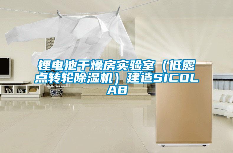 鋰電池干燥房實驗室（低露點轉(zhuǎn)輪除濕機(jī)）建造SICOLAB