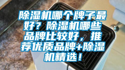 除濕機哪個牌子最好？除濕機哪些品牌比較好，推薦優(yōu)質(zhì)品牌+除濕機精選！