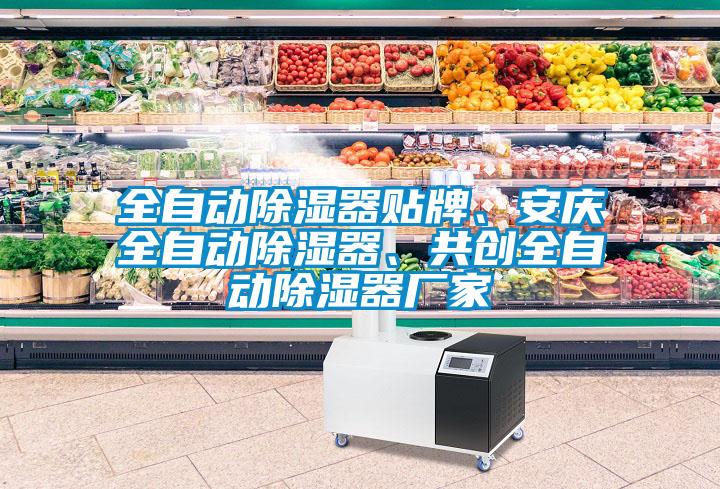 全自動除濕器貼牌、安慶全自動除濕器、共創(chuàng)全自動除濕器廠家