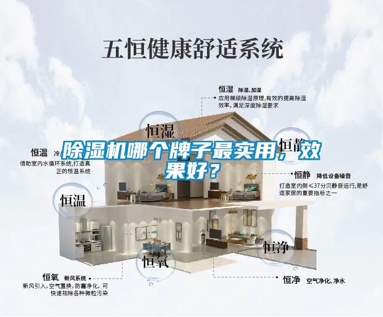 除濕機哪個牌子最實用，效果好？