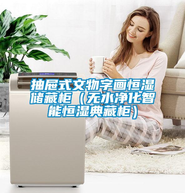 抽屜式文物字畫恒濕儲(chǔ)藏柜（無水凈化智能恒濕典藏柜）