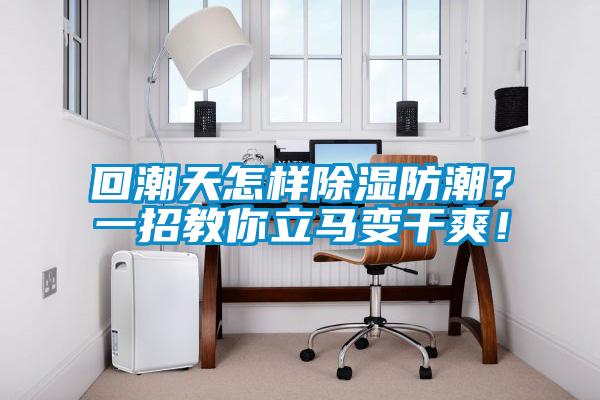 回潮天怎樣除濕防潮？一招教你立馬變干爽！