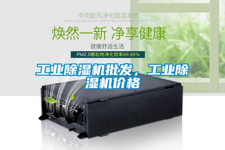 工業(yè)除濕機批發(fā)，工業(yè)除濕機價格