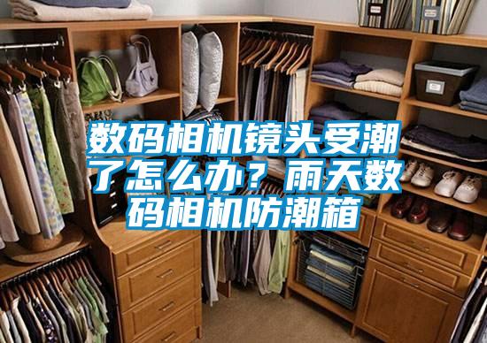 數(shù)碼相機(jī)鏡頭受潮了怎么辦？雨天數(shù)碼相機(jī)防潮箱