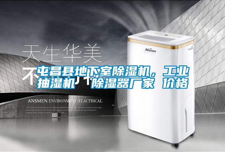屯昌縣地下室除濕機，工業(yè)抽濕機  除濕器廠家 價格