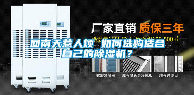 回南天惹人煩 如何選購適合自己的除濕機？
