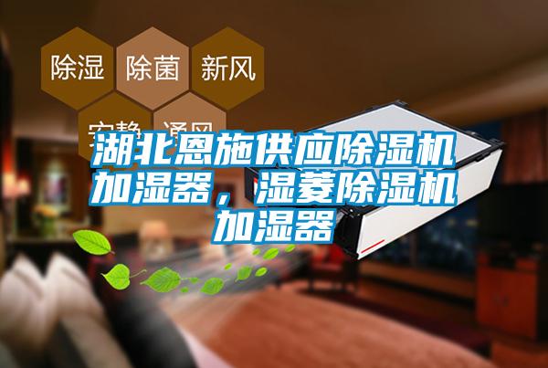 湖北恩施供應(yīng)除濕機(jī)加濕器，濕菱除濕機(jī)加濕器