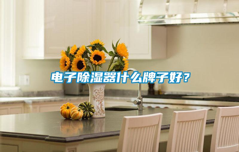 電子除濕器什么牌子好？