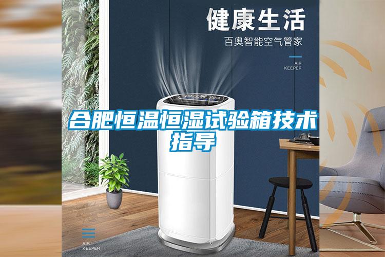 合肥恒溫恒濕試驗箱技術(shù)指導