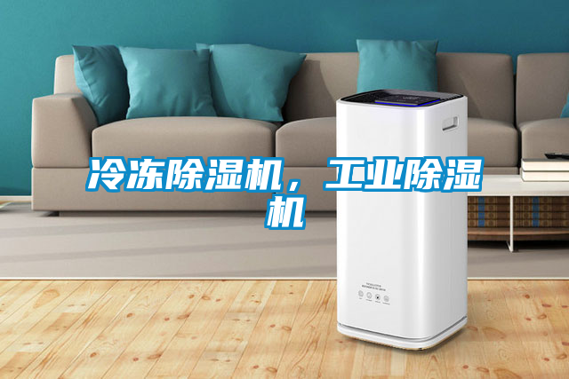 冷凍除濕機，工業(yè)除濕機