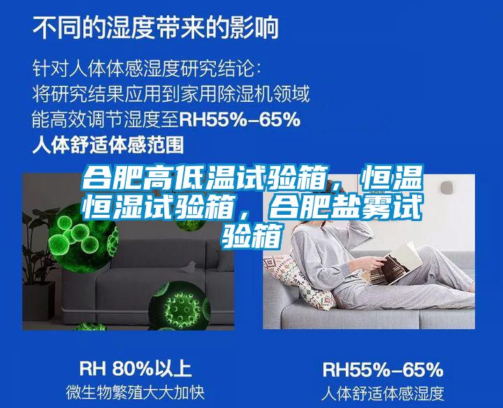 合肥高低溫試驗箱，恒溫恒濕試驗箱，合肥鹽霧試驗箱