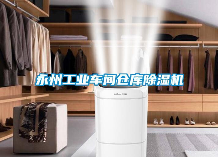 永州工業(yè)車間倉(cāng)庫除濕機(jī)