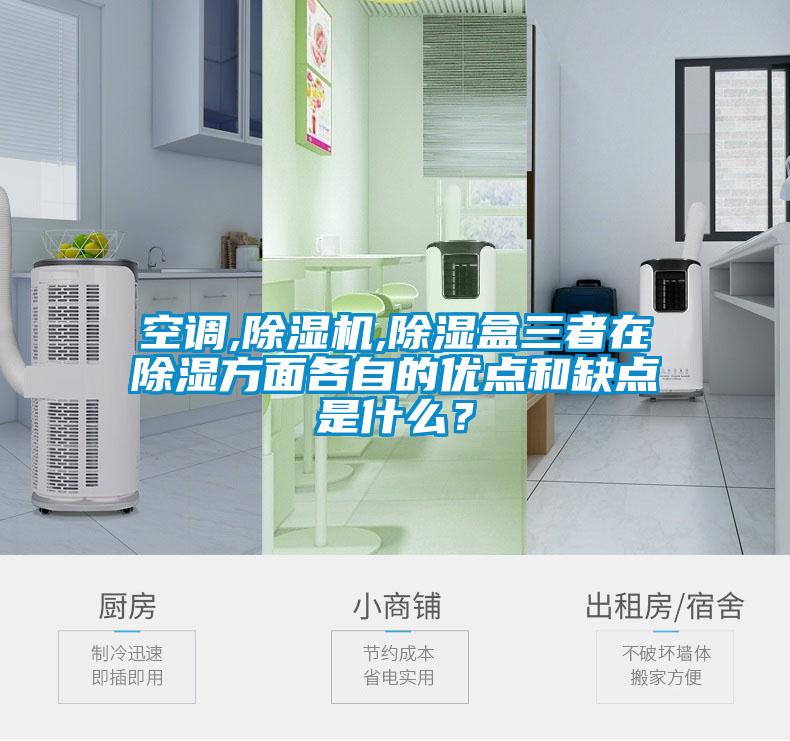 空調(diào),除濕機(jī),除濕盒三者在除濕方面各自的優(yōu)點(diǎn)和缺點(diǎn)是什么？