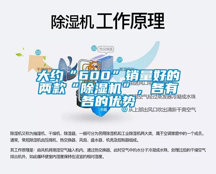 大約“600”銷(xiāo)量好的兩款“除濕機(jī)”，各有各的優(yōu)勢(shì)
