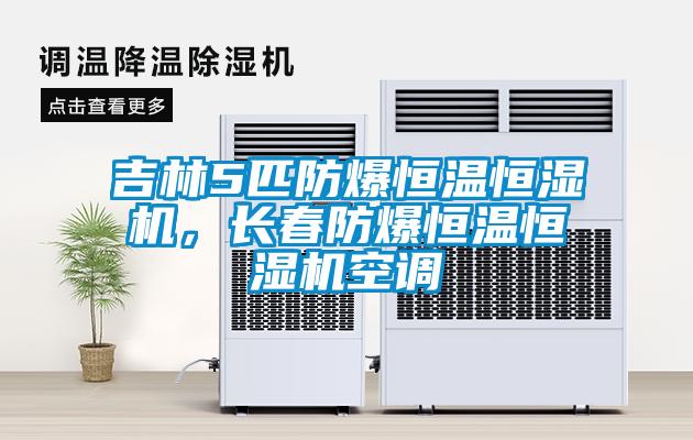 吉林5匹防爆恒溫恒濕機(jī)，長(zhǎng)春防爆恒溫恒濕機(jī)空調(diào)