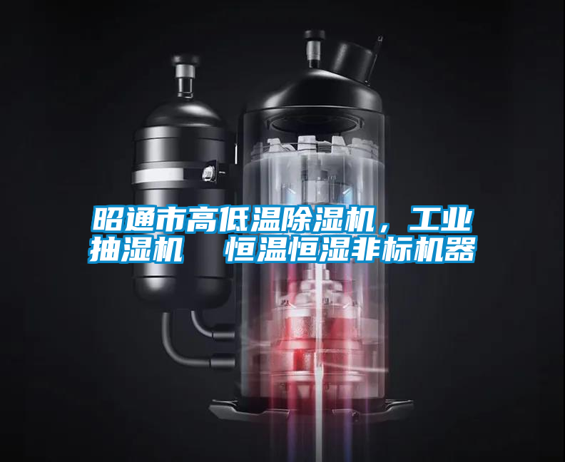 昭通市高低溫除濕機，工業(yè)抽濕機  恒溫恒濕非標機器