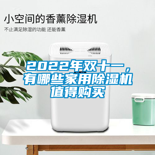 2022年雙十一，有哪些家用除濕機(jī)值得購(gòu)買