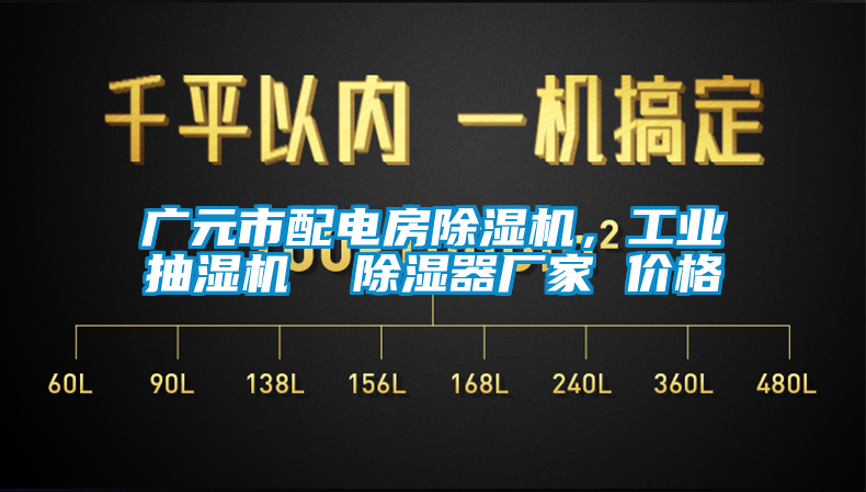 廣元市配電房除濕機(jī)，工業(yè)抽濕機(jī)  除濕器廠家 價(jià)格