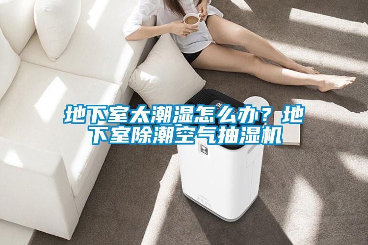 地下室太潮濕怎么辦？地下室除潮空氣抽濕機(jī)