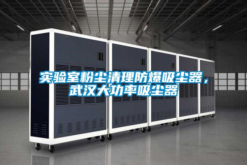 實(shí)驗(yàn)室粉塵清理防爆吸塵器，武漢大功率吸塵器
