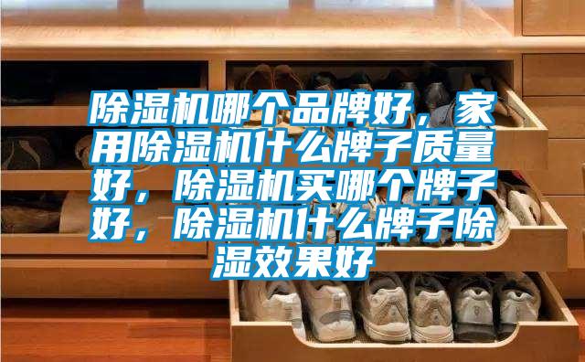 除濕機(jī)哪個品牌好，家用除濕機(jī)什么牌子質(zhì)量好，除濕機(jī)買哪個牌子好，除濕機(jī)什么牌子除濕效果好