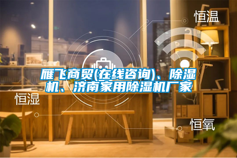 雁飛商貿(在線咨詢)、除濕機、濟南家用除濕機廠家