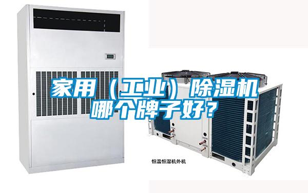 家用（工業(yè)）除濕機(jī)哪個(gè)牌子好？