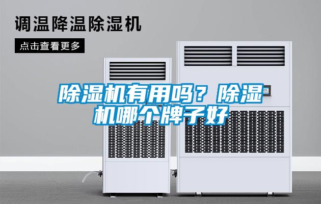 除濕機(jī)有用嗎？除濕機(jī)哪個牌子好