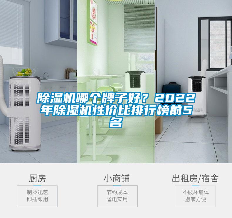 除濕機(jī)哪個(gè)牌子好？2022年除濕機(jī)性價(jià)比排行榜前5名
