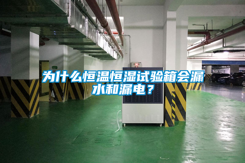 為什么恒溫恒濕試驗(yàn)箱會(huì)漏水和漏電？