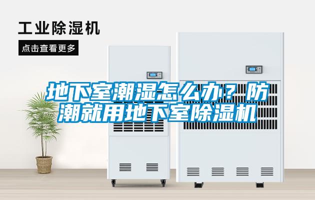 地下室潮濕怎么辦？防潮就用地下室除濕機(jī)