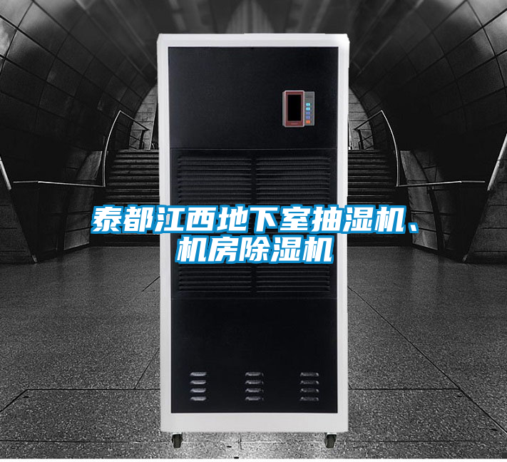 泰都江西地下室抽濕機(jī)、機(jī)房除濕機(jī)