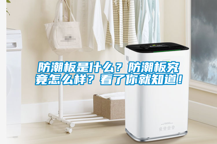 防潮板是什么？防潮板究竟怎么樣？看了你就知道！