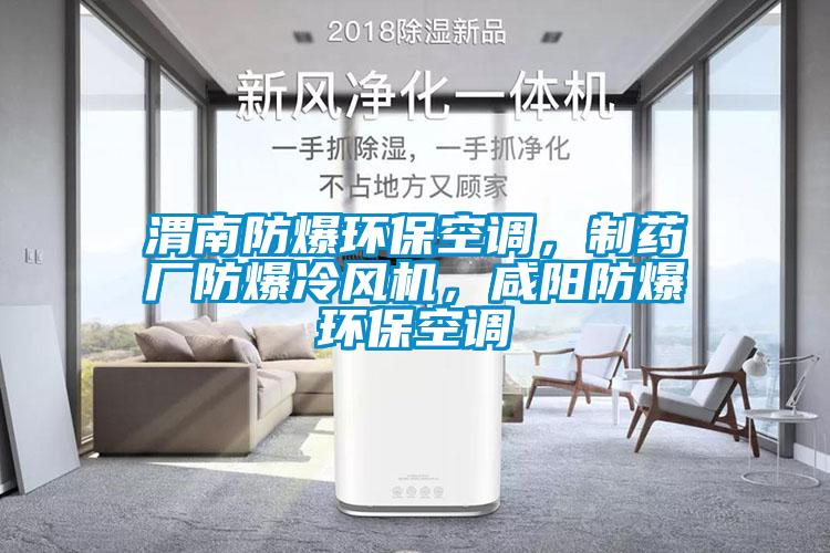 渭南防爆環(huán)?？照{(diào)，制藥廠防爆冷風(fēng)機(jī)，咸陽(yáng)防爆環(huán)?？照{(diào)
