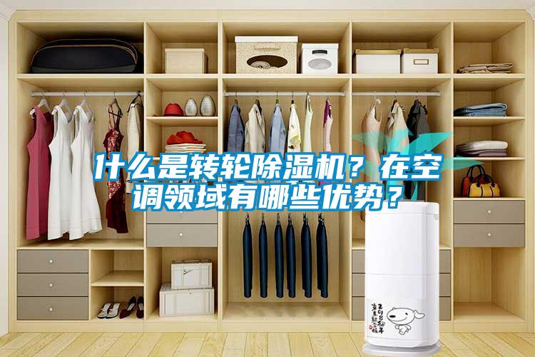 什么是轉(zhuǎn)輪除濕機？在空調(diào)領(lǐng)域有哪些優(yōu)勢？