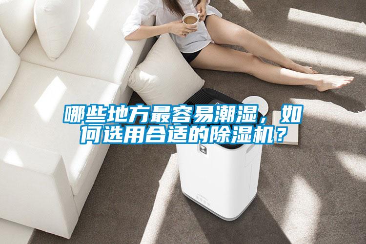 哪些地方最容易潮濕，如何選用合適的除濕機？