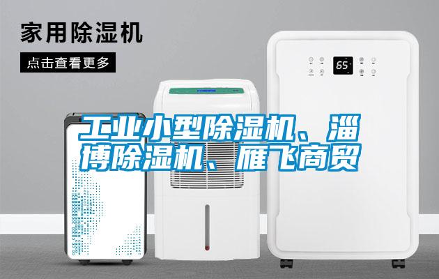 工業(yè)小型除濕機(jī)、淄博除濕機(jī)、雁飛商貿(mào)