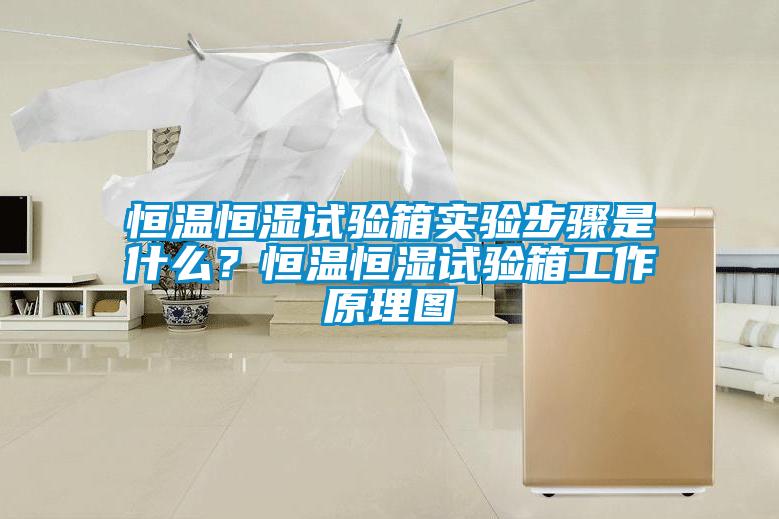 恒溫恒濕試驗(yàn)箱實(shí)驗(yàn)步驟是什么？恒溫恒濕試驗(yàn)箱工作原理圖