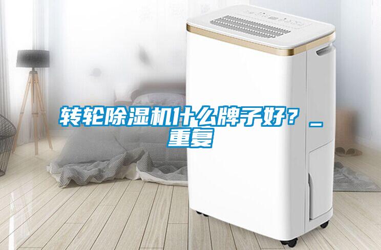 轉(zhuǎn)輪除濕機什么牌子好？_重復