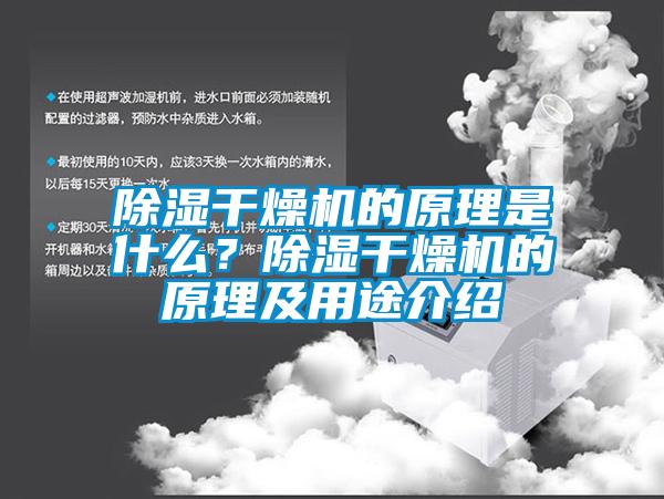 除濕干燥機(jī)的原理是什么？除濕干燥機(jī)的原理及用途介紹