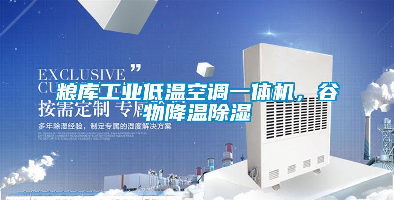 糧庫工業(yè)低溫空調(diào)一體機，谷物降溫除濕